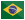 Bandera do Brasil, idioma portugues